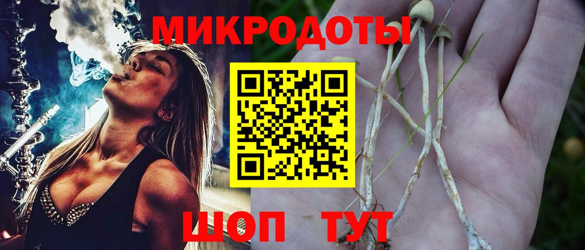 Балашиха  Галлюциногенные грибы Cubensis  Вход с VPN  Псилоцибиновые грибы прущие грибы 